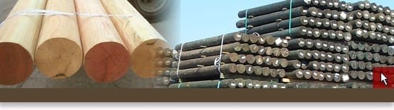 American Pole & Timber