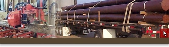 American Pole & Timber