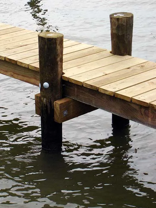 close up of a deck's pressure treated pilings in water.
