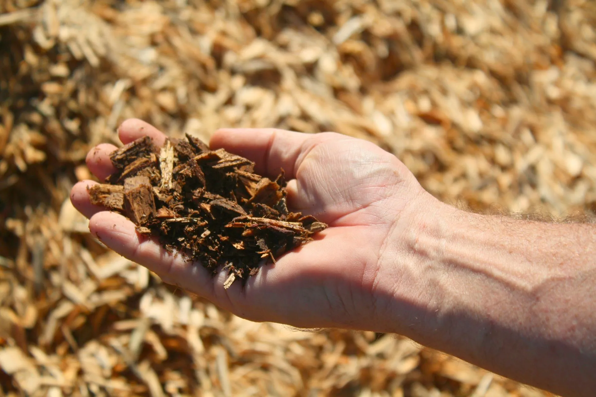 ipema certified wood playground chips
