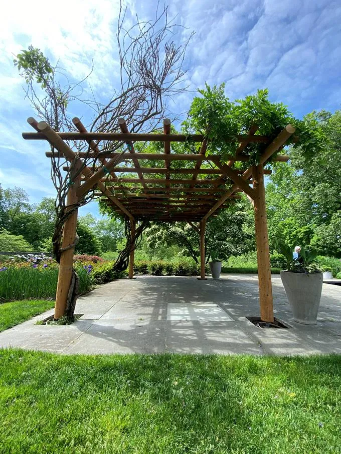 gun barrel pilings western cedar pergola