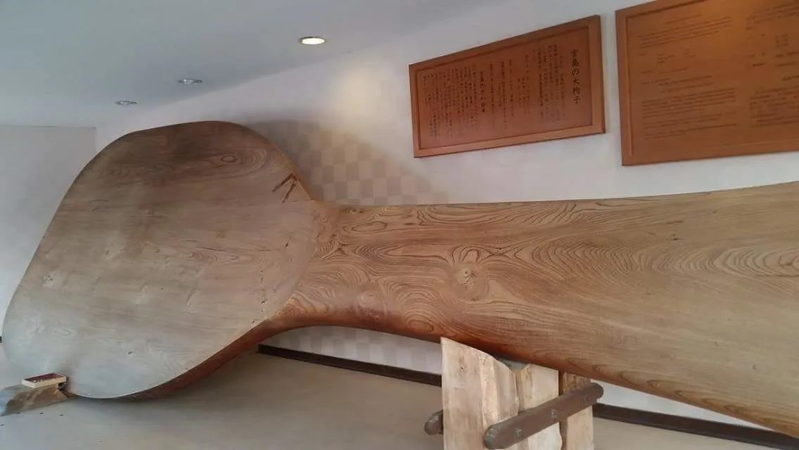 worlds largest rice scoop