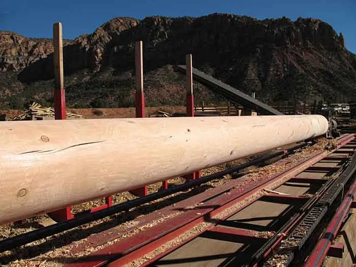 doug fir pole no taper big