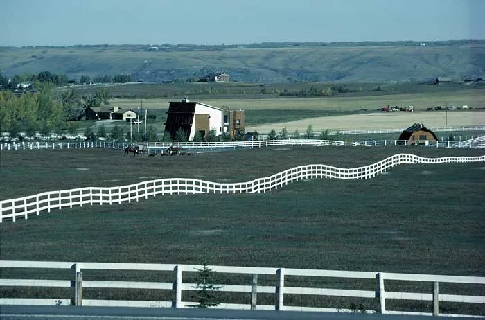 Treated fence posts and fence boards painted white
