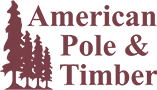 American Pole and Timber logo