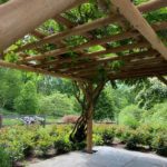 Close Up Gun Barrel Pilings Western Cedar Pergola