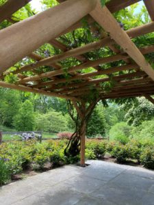 Close Up Gun Barrel Pilings Western Cedar Pergola