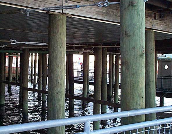 Pilings under kemah restaurant BIG2