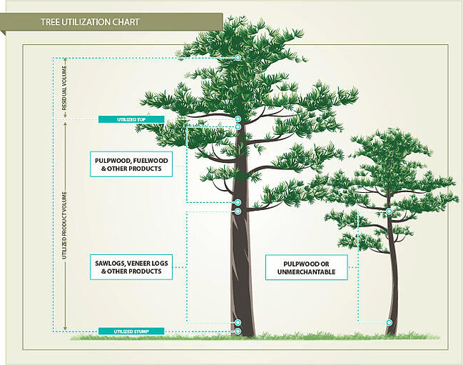 Tree Inventory Utilization