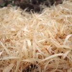 Wood Shavings Close Up