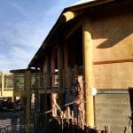 abilene zoo 12