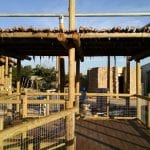 abilene zoo 6