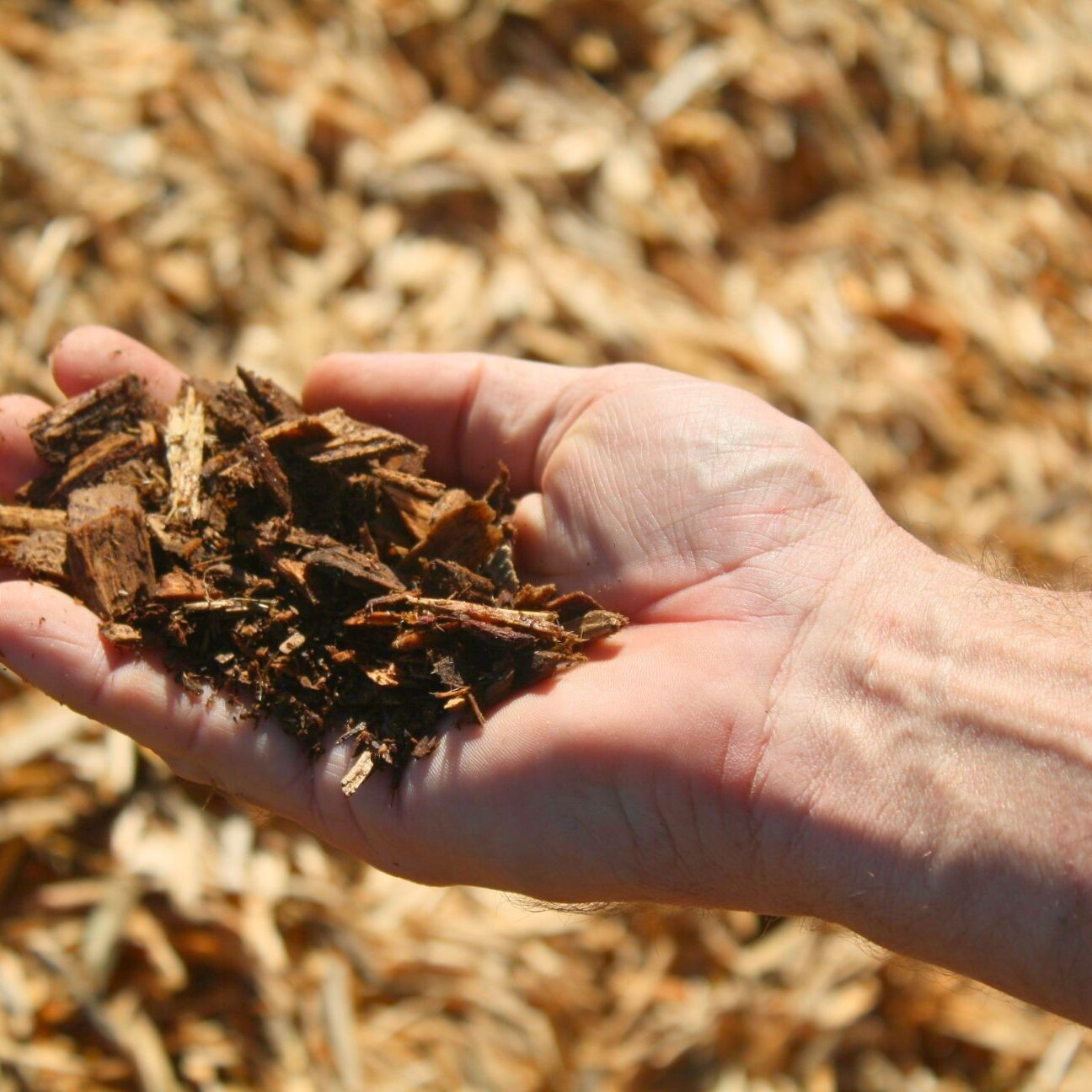 IPEMA Certified Wood Playground Chips IPEMA Certified Wood Playground Chips
