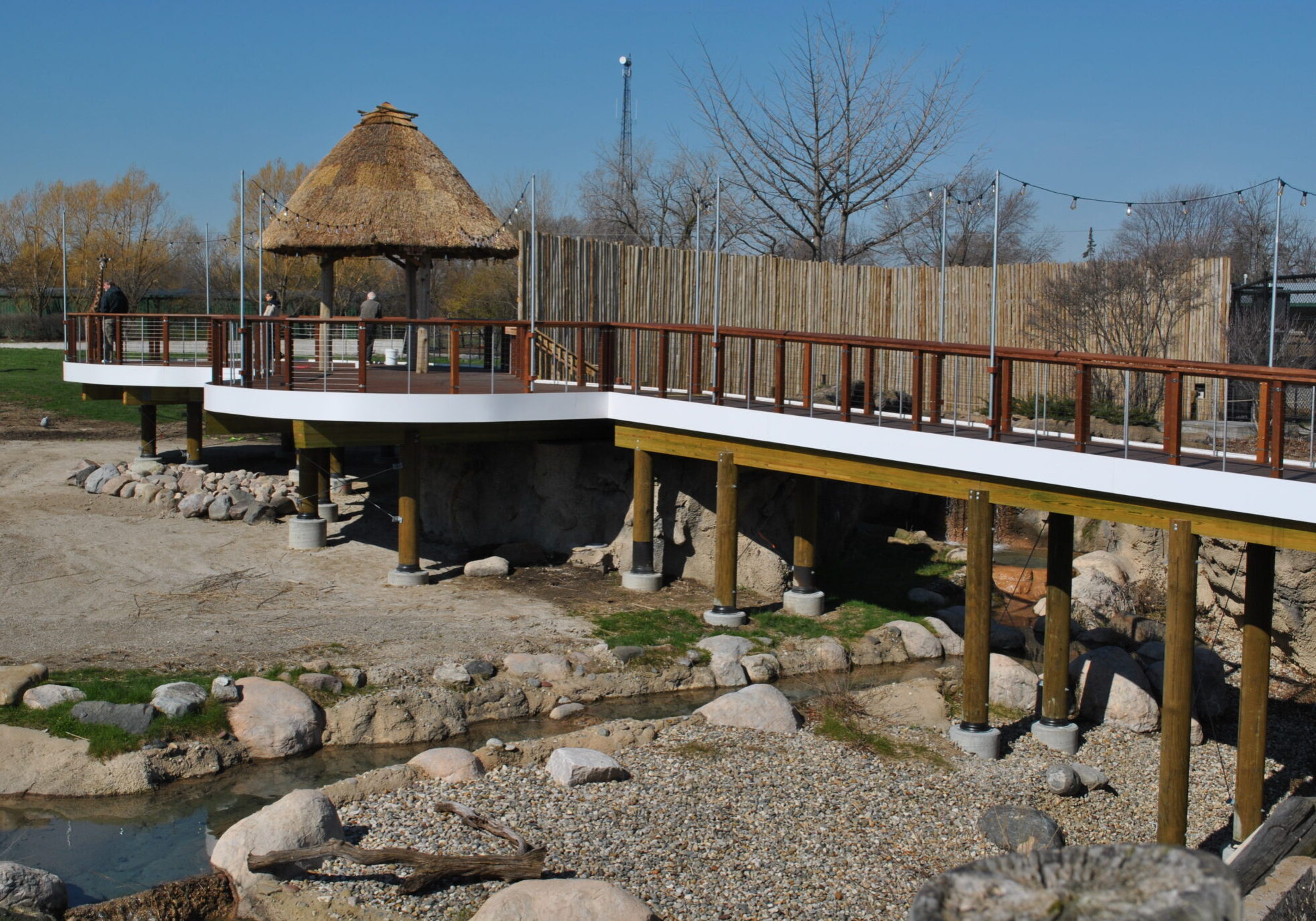 Toledo zoo pilings wood