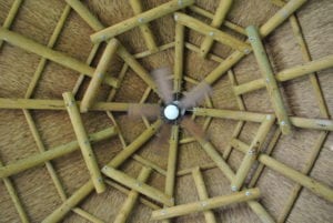 cincinnati zoo poles thatch ceiling