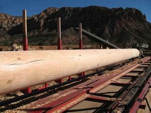 doug fir pole no taper BIG