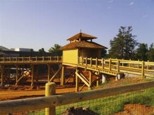 elephant ok zoo gb pilings BIG