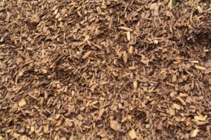 ipema playground chips (1)
