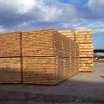 lumber on sticks BIG