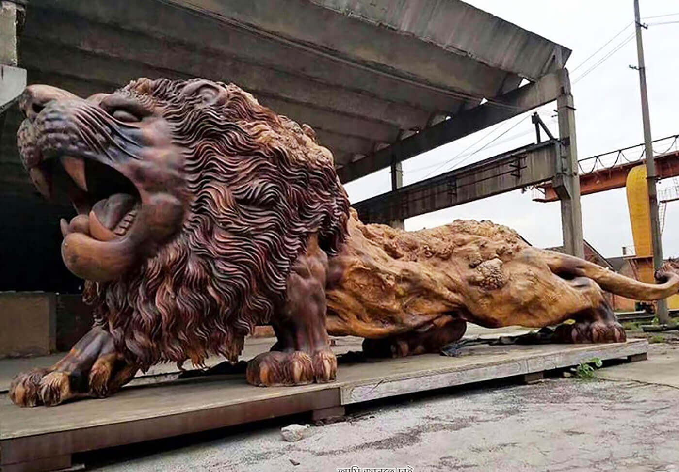 oriental lion largest wooden sculpture