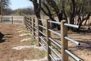 red river BIG treated wood fence posts